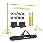 EMART Backdrop Stand 10x10ft(WxH) Photo Studio Adjustable Background Stand Support Kit with 2 Crossbars, 6 Backdrop Clamps, 2 Sandbags and Carrying Bag for Parties Events Decoration