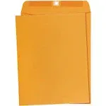 Basics 10 x 13-inch Clasp Kraft Envelopes, Gummed, 100-Pack 10" x 13"