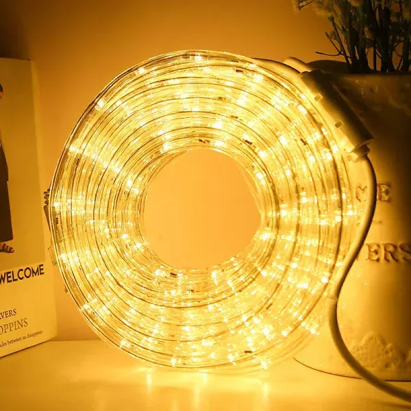 DINGFU 33ft LED Rope Lights