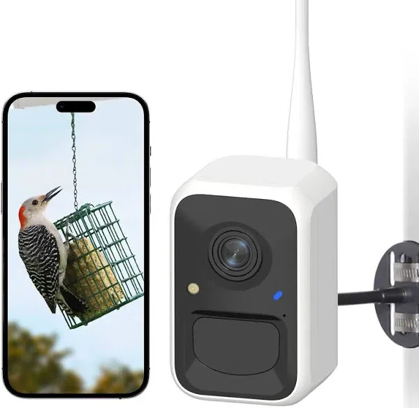 Netvue Smart Bird Feeder Camera