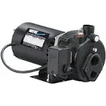 Wayne CWS75 3/4 HP Convertible Jet Well Pump