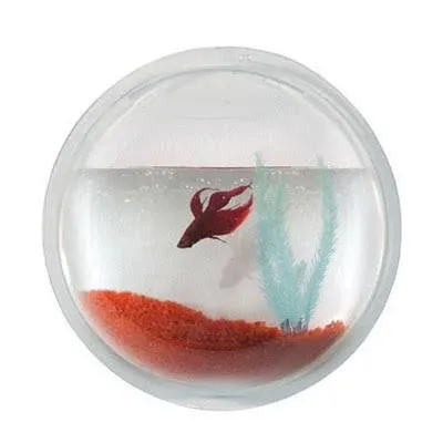 Fish Bubble - Deluxe Acrylic Wall Mounted Fish Tank