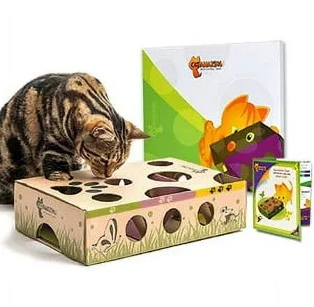 CAT AMAZING Interactive Treat Maze Puzzle Feeder