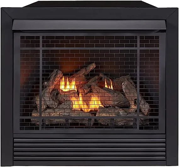 Duluth Forge Dual Fuel Ventless Gas Fireplace Insert, 32K BTU, Remote, FDI32R 815192020466 | eBay