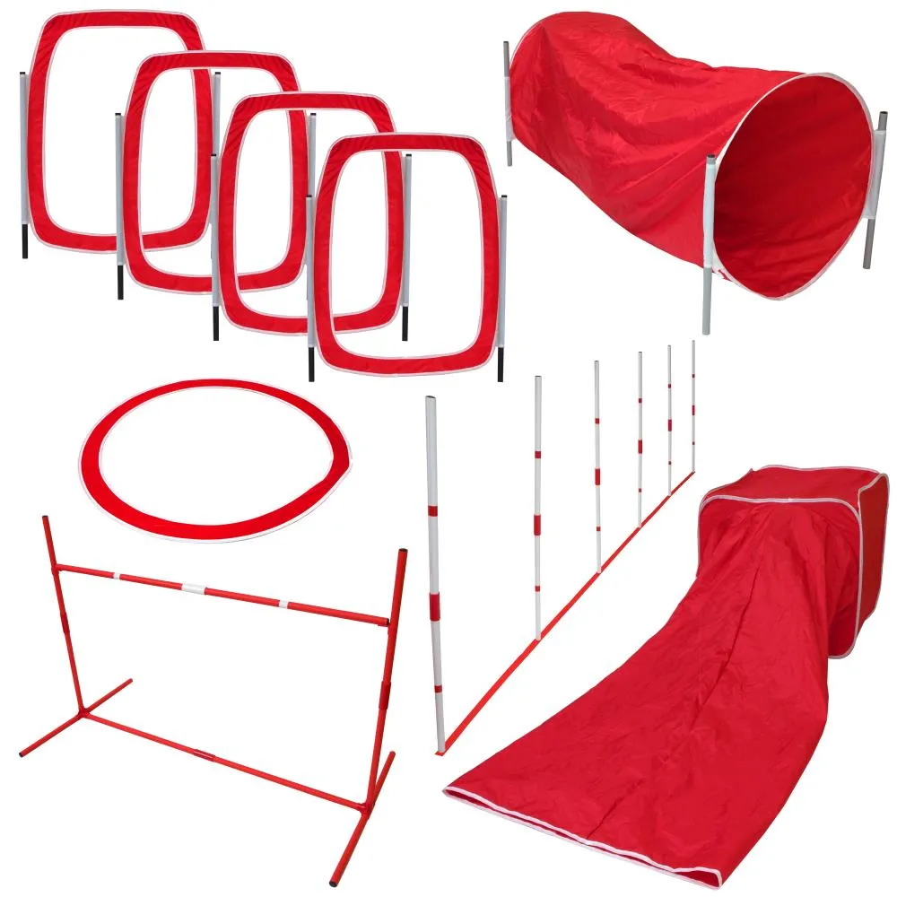 Chew King Novice Dog Park Agility Course Kit Lowes.com