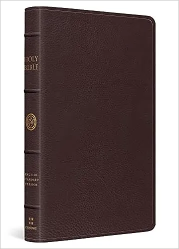 Large Print Thinline Reference Bible-ESV [Book]