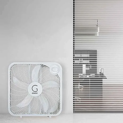 Genesis 20" Box Fan, 3 Settings, Max Cooling Technology, Carry Handle, White (G20BOX-WHT)