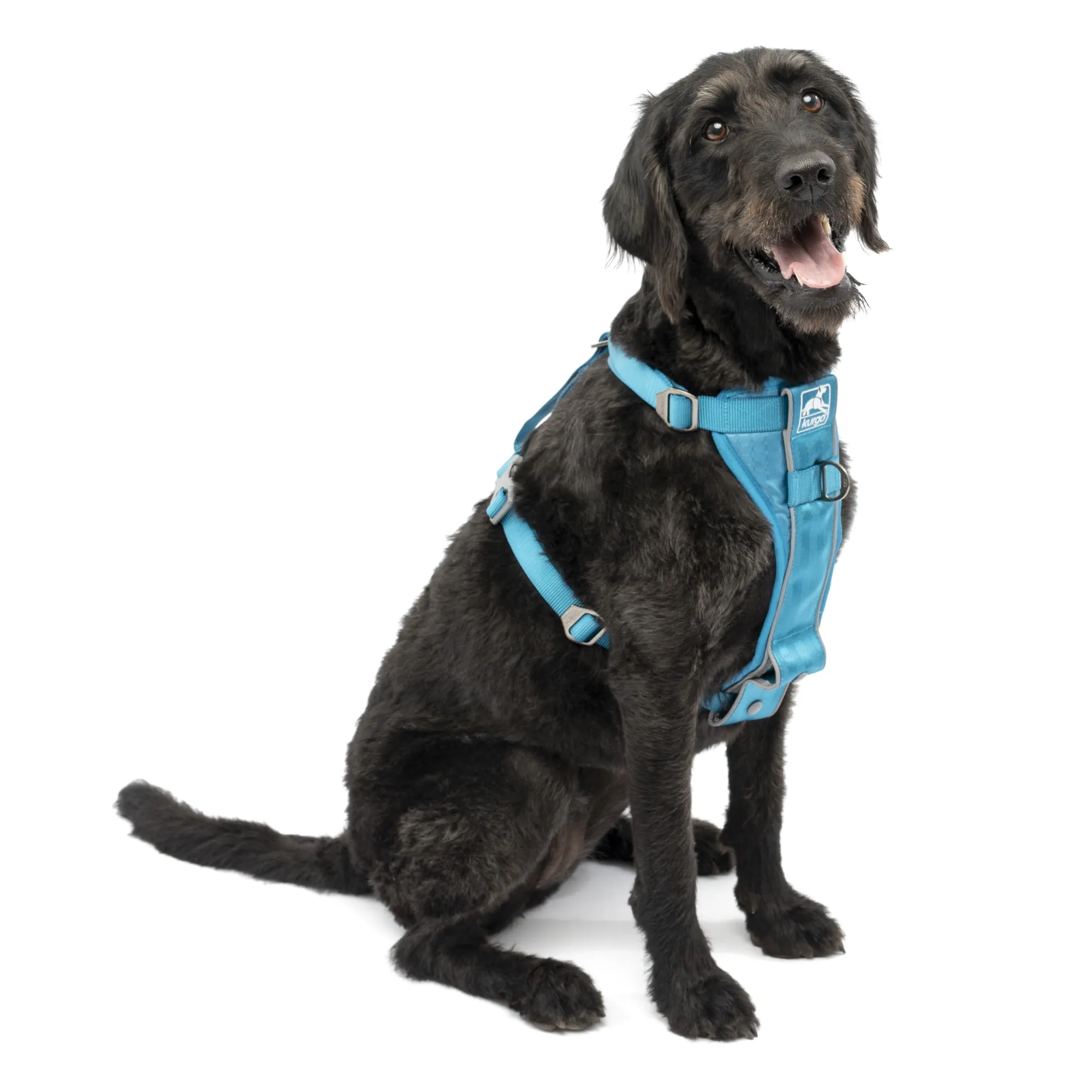 Kurgo Dog Harness | Pet Walking Harness | No Pull Harness Front Clip Feature for Training Included | Car Seat Belt | Tru-Fit Quick Release Style | Small | Grey