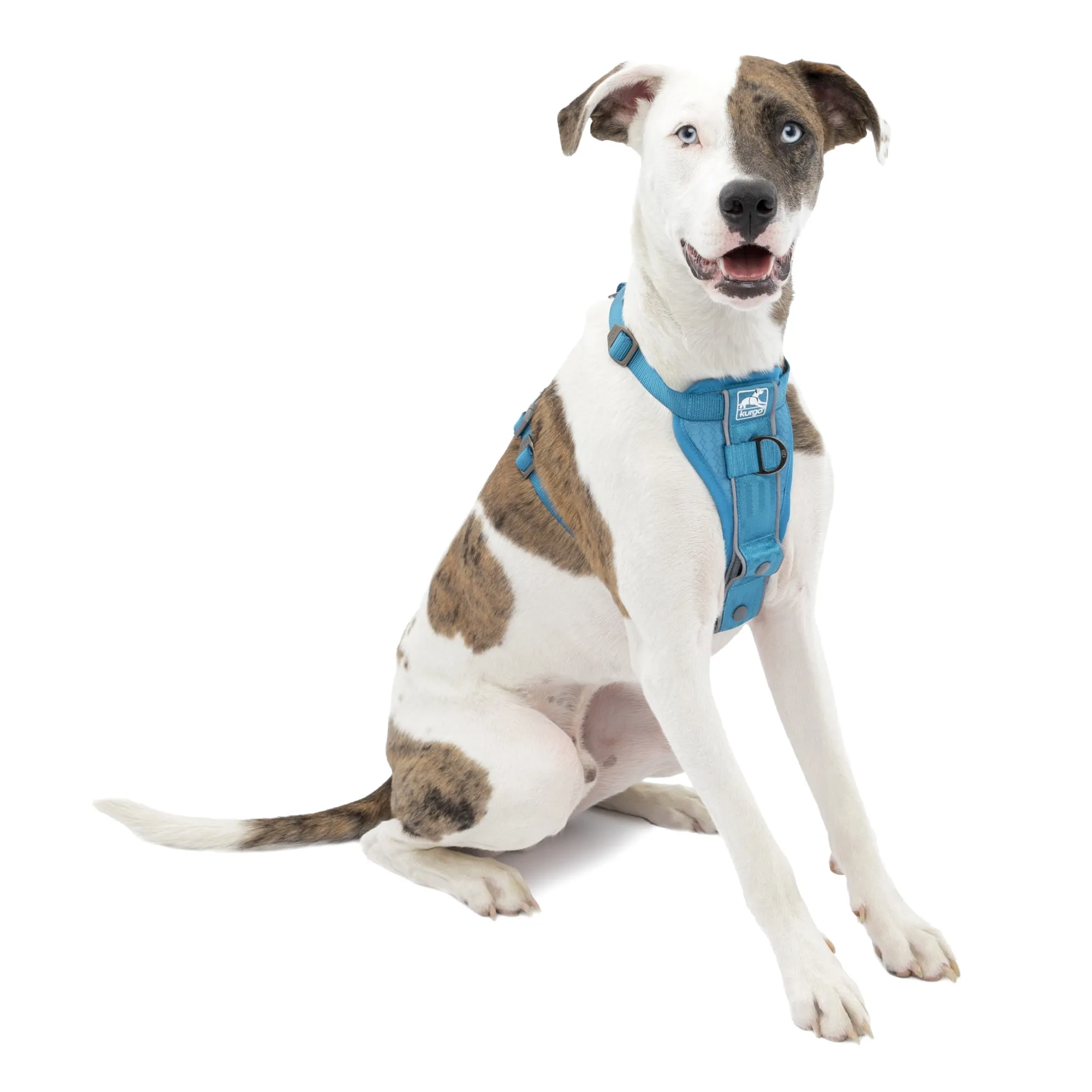 Kurgo Tru-Fit Smart Dog Harness