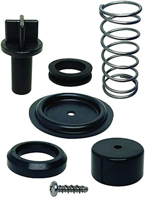 Quicksilver Poppet Valve Kit