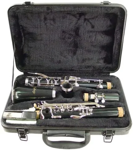 Hisonic Signature Series 2610 Bb Orchestra Clarinet with Case