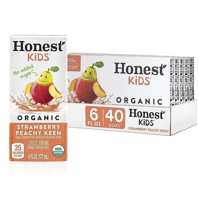 Honest Kids Berry Good Lemonade, Organic Juice Drink, 6 fl oz Juice Boxes, Pack of 40, Berry Lemonade, 6 fl oz (Pack of 40)