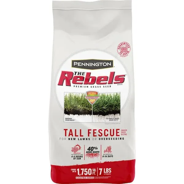 Pennington Rebels Tall Fescue Grass Seed