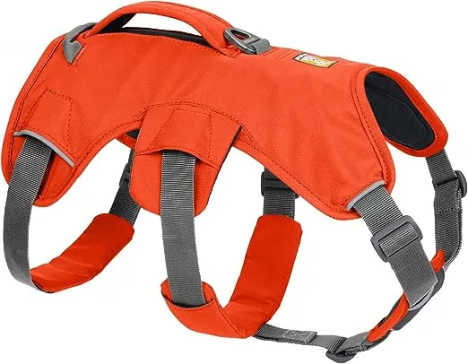 Ruffwear, Web Master, Multi-Use Support Dog Harness, Hiking and Trail Running, Service and Working, Everyday Wear, Blaze Orange, X-Small