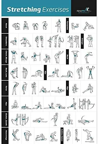 NewMe Fitness Workout Posters for Home Gym - Stretching Exercise Posters for Full Body Workout - Core, Abs, Legs, Glutes & Upper, Blue