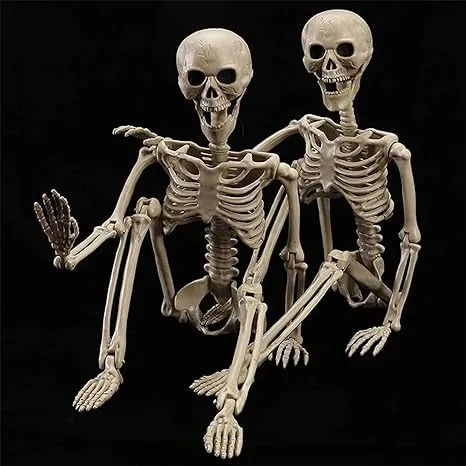 2 Pack 40 Inches Halloween Skeleton Full Body Posable Movable Jonints for Hallow