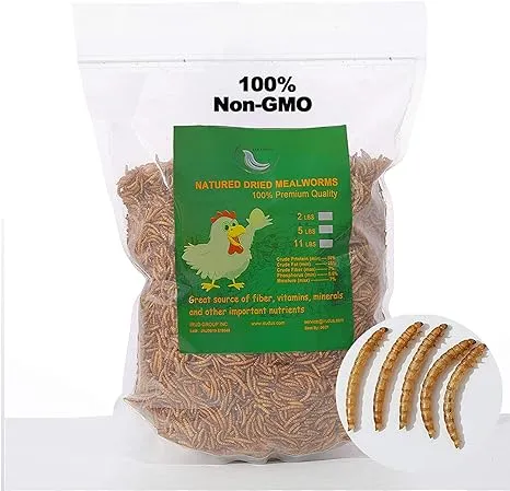 WORKPOINT 5LB 100% Natural Non-GMO High Protein Dried Mealworms, Large Size No Moisture, Perfect for Chickens Birds Hedgehog Hamster Fish Reptile Turtles