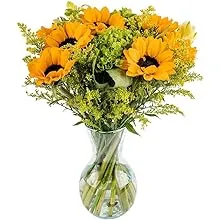 Sunny Day by Arabella Bouquets with a Free, Hand-Blown Glass Vase (Fresh-Cut Flowers)