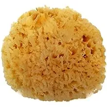 Spa Destinations Natural Sea Wool Sponge 5-6" Natural Renewable Resource Bath & Shower