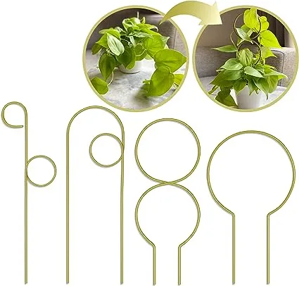 LOOPSEED Small Metal Trellis for Indoor Plants Metal Plant Stake for Climbing House Plants Plant Support for Potted Plants Orchids, Monstera, Pothos