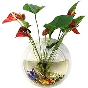 Wall Fish Bubble Wall Hanging Bowl Clear Acrylic Vase Flower Plant Pot Aquarium