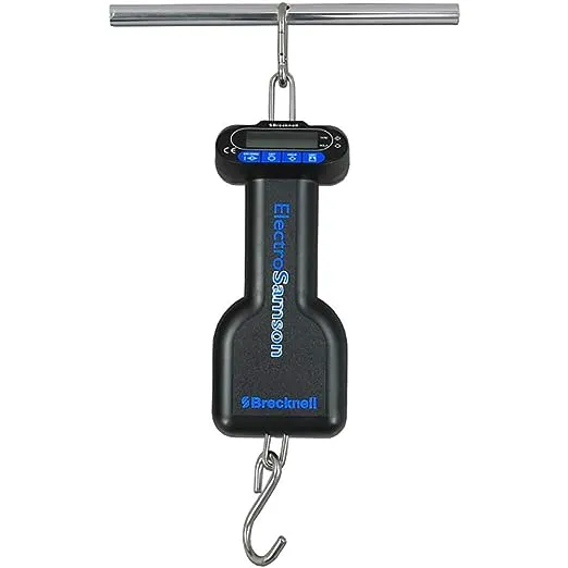 Salter-Brecknell SA3N271 ElectroSamson Digital Hand Held Scale with LCD Display, 55lbs Capacity