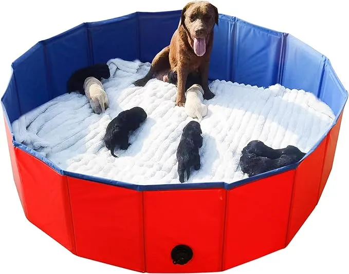 Artilife Whelping Pen for Dogs,Whelping Box for Dogs and Puppies,Dog Birth Supplies,Portable Whelping Pool Whelping Box,Foldable Dog Bath Pool (32inch Dia.x12inch H(80x30cm))