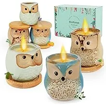 Scented Candles Birthday Gifts for Women, Owl Gifts for Women, 6 Pack Novelty...