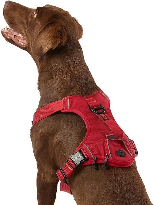 KONG Ultra Durable Waste Bag Harness (Large, Red)