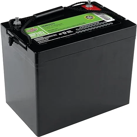 Interstate Batteries 12V 75Ah AGM Deep Cycle Battery (DCM0075) Group 24 Rechargeable Replacement Mobility Battery for Electric Wheelchairs, Scooters, Sump Pumps, ATVs with Insert Terminals SLA AGM