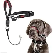 HALTI Optifit Headcollar - To Stop Your Dog Pulling on the Leash. Adjustable, Reflective and Lightweight, with Padded Nose Band. Dog Training Anti-Pull Collar for Large Dogs (Size Large)