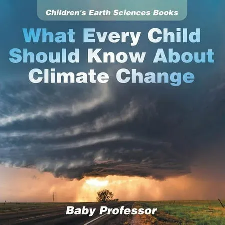 Day Care Deception: What the Child Care Establishment Isn't Telling Us [Book]