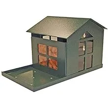 Durable Bird Proof Squirrel Feeder - If You Can't Beat Them, Feed Them