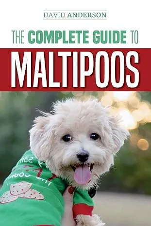 The Complete Guide to Maltipoos: Everything you need to know before getting your Maltipoo dog