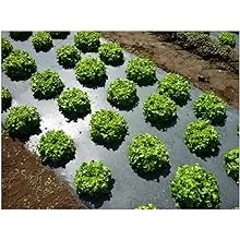 Grower's Solution Black Plastic Mulch 4ft. X 100ft. 1.0 Mil Embossed