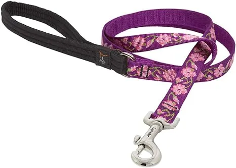 LupinePet Originals 3/4" Rose Garden 6-Foot Padded Handle Leash for Medium and Larger Dogs