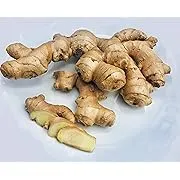 KEJORA Fresh Ginger Root from Peru