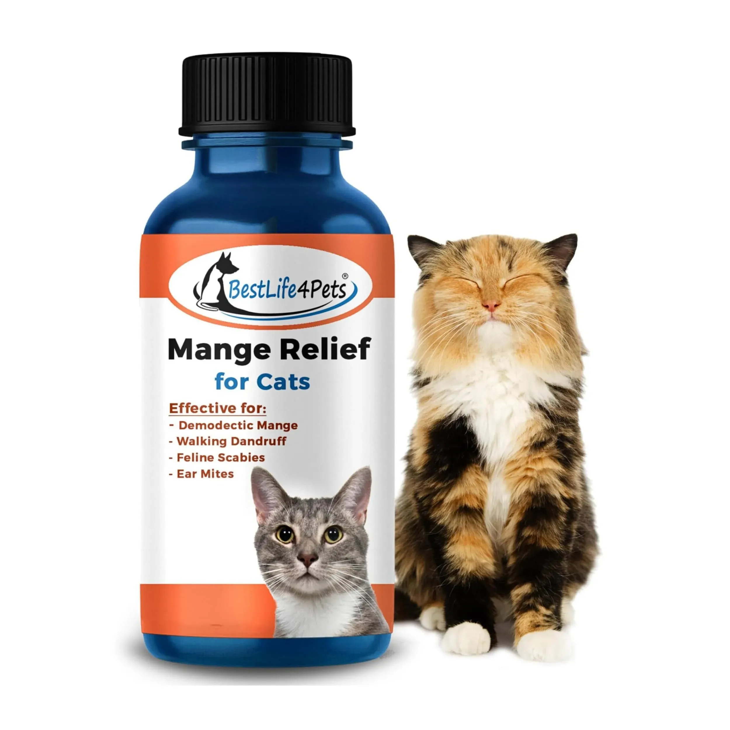 BestLife4Pets Demodectic Mange and Scabies Relief for Cats - Ear Mites & Itch ...