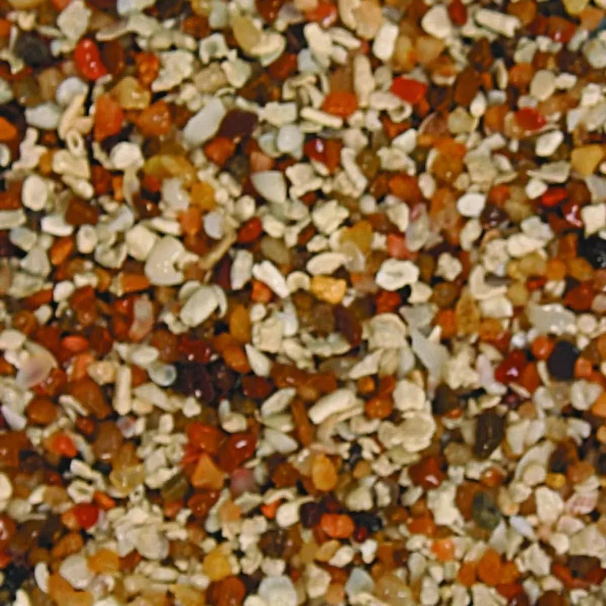 ACS00222 African Sahara Sand for Aquarium 20-Pound