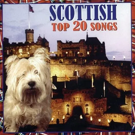 Scottish Top 20 Songs - CD