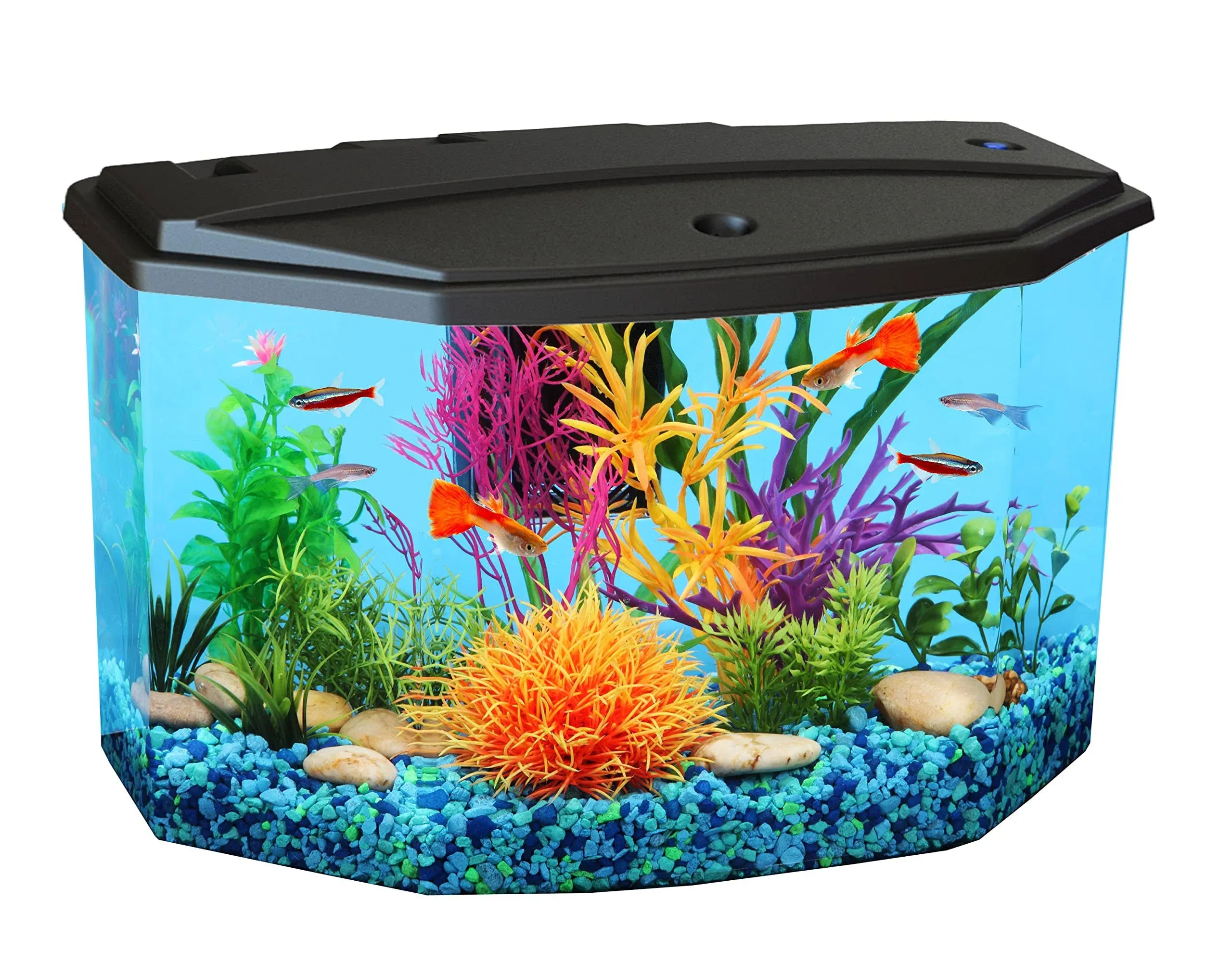 Koller Products Semi Hex Aquaview 3-Gallon Aquarium Kit w/ LED &amp; Filter