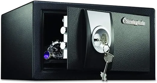SentrySafe Black Security Safe with Key Lock for Home, Office, or Dorm holds Money, Jewelry, Documents, and Other Valuables, 0.35 Cubic Feet, X031