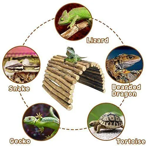 13.78’’ X 20’’ Reptile Hideout Wooden Bridge Lizard Hide Caves Bearded