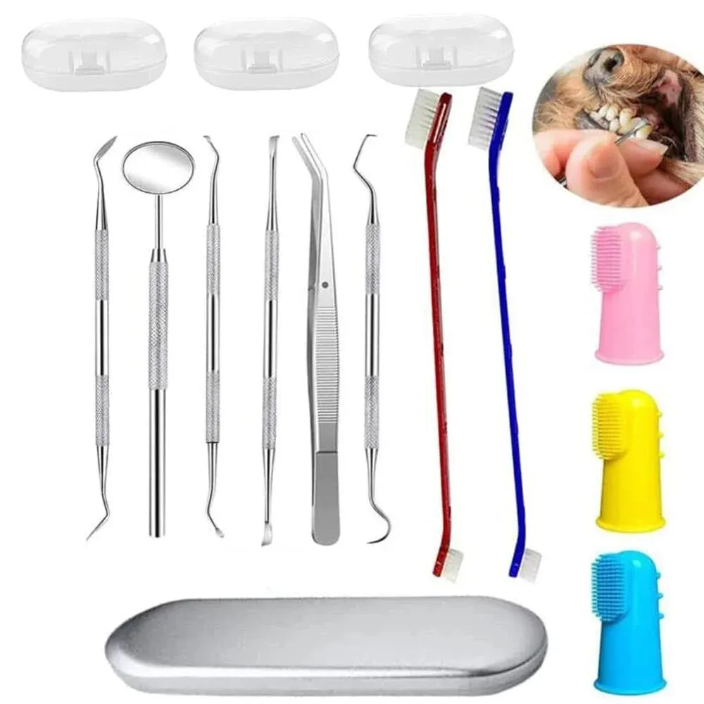 Teeth Cleaning Kit Dog Plaque Tartar Remover Tools Pet Dental  Assorted Sizes 