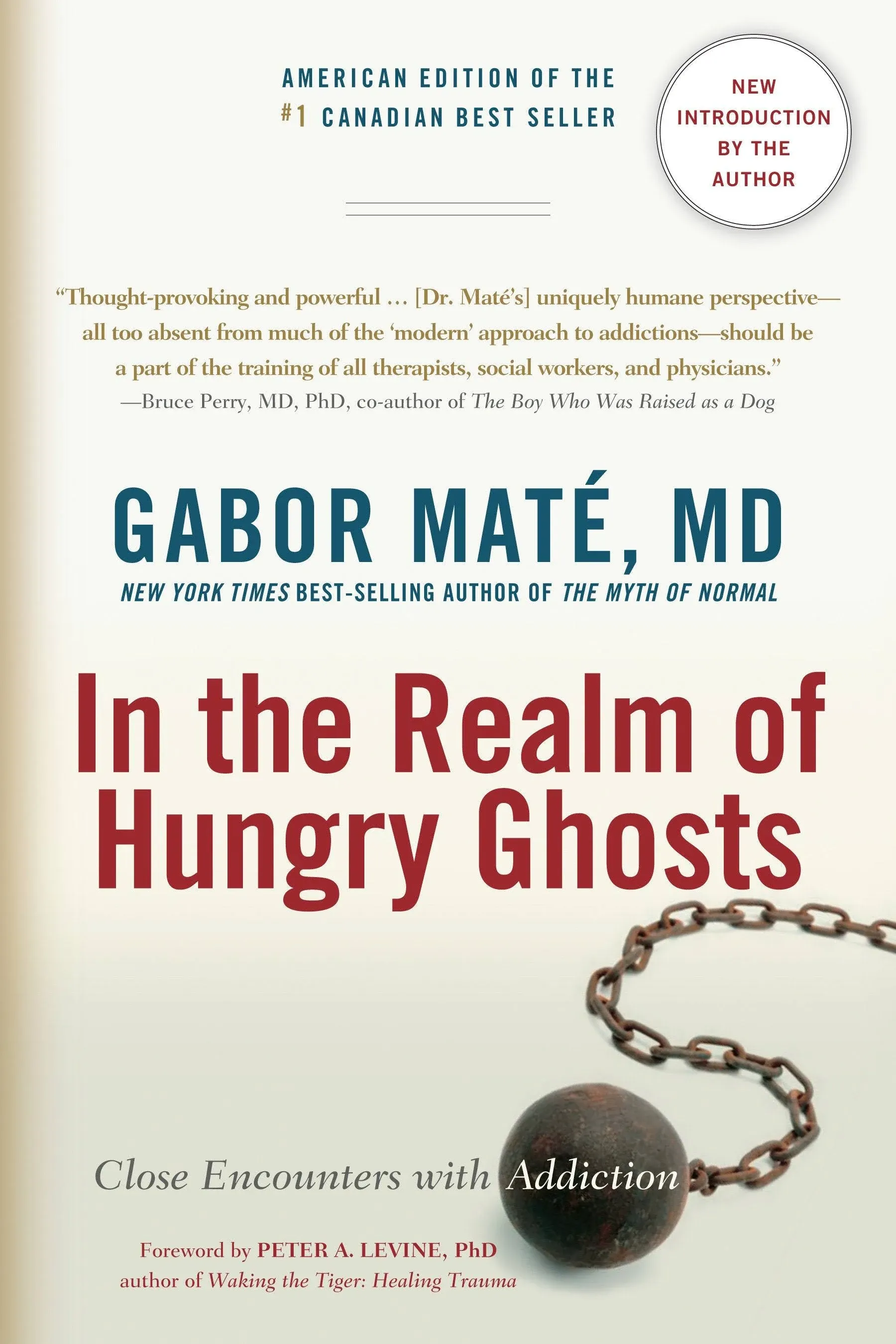 In the Realm of Hungry Ghosts: Close Encounters with Addiction by Gabor Mate