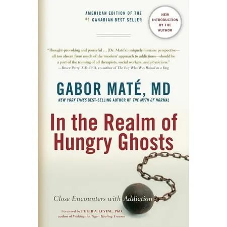 In the Realm of Hungry Ghosts: Close Encounters with Addiction 