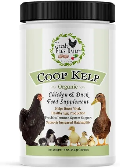 Fresh Eggs Daily Coop Kelp Organic Chicken and Duck Feed Supplement 1lb