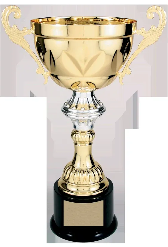 Custom Trophy Real Metal Trophy Cup - Gold or Silver - Trophy Award, Golf Trophy, Large Trophy Cup Award - 4 Sizes - Custom Plate Free