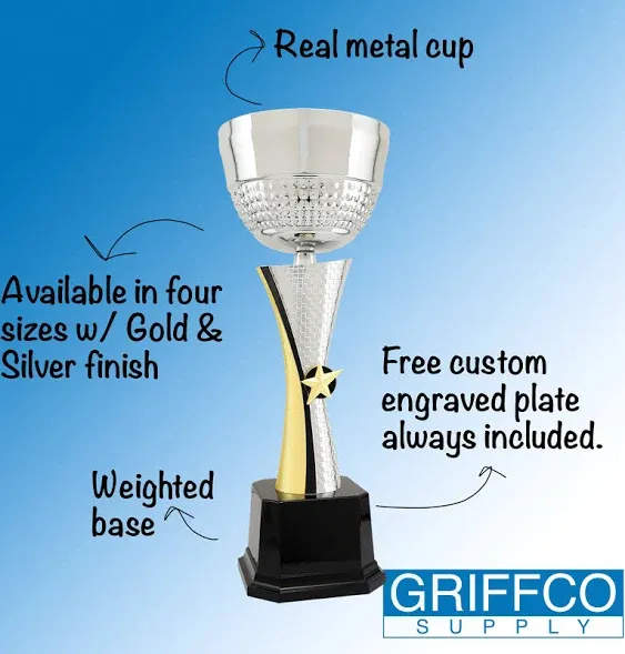 Silver and Gold Real Metal Cup Trophy - Trophy Award, Engraved Corporate Trophy ...