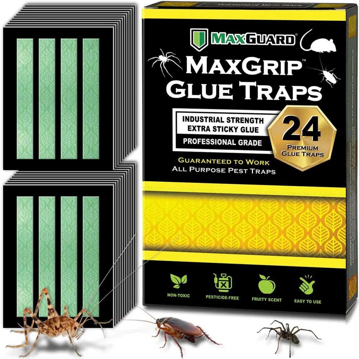 Maxguard MAXgrip Glue Traps (24 Traps) Non-Toxic Extra Sticky Glue Board Pre ...